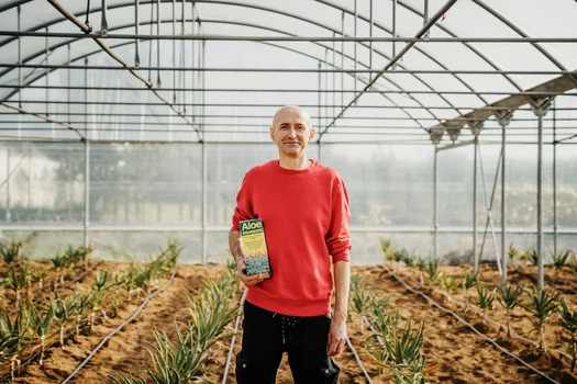 Aloe Arborescens il segreto della salute