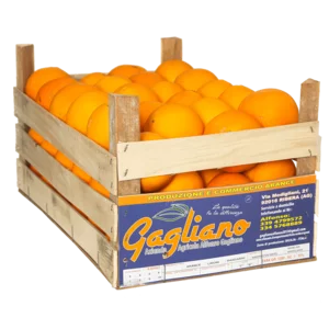 Washington Navel Orangen Gr. 2, Fioroni, 10kg Karton
