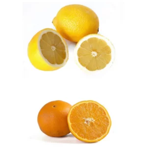 Sizilianische Orangen und Zitronen, Az. Agr. A. Gagliano, 10kg