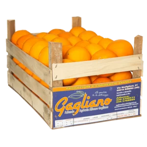 Washington Navel Orangen Größe 4, 20kg Box