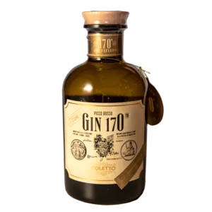 Gin 170th, bucce di limoni del Garda e bacche di Ginepro, 500ml