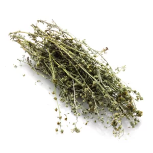Infiorescenze essiccate di Artemisia Umbelliformis- Genepy, 11g