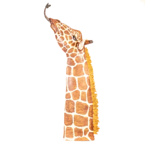 Giraffa, scultura dipinta a mano, h90cm