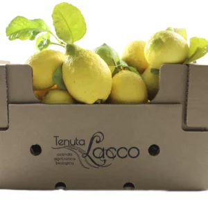Limoni zagara bianca biologici, cassetta da 10kg