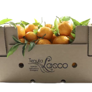 Mandarines Marzolini bio, carton 10 kg