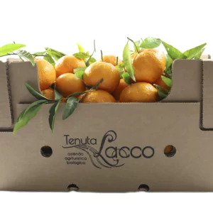 Mandarines Marzolini bio, carton 20 kg