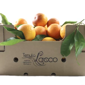 Oranges de Valence bio, carton de 10 kg