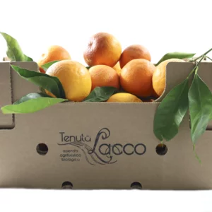 Oranges de Valence bio, carton de 20 kg